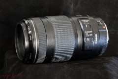 Canon EF 70-300 IS USM